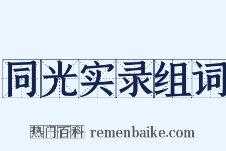 同光实录组词是什么意思的图片